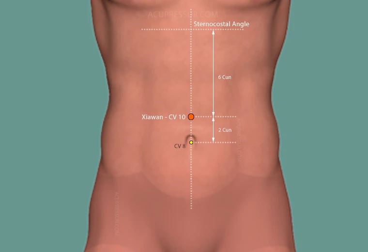 CV 10 Xiawan